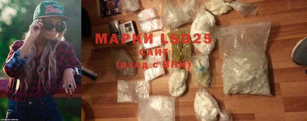 ПСИЛОЦИБИНОВЫЕ ГРИБЫ Иннополис