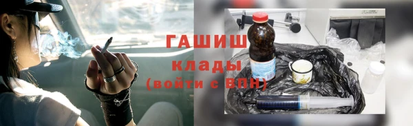 твердый Инсар