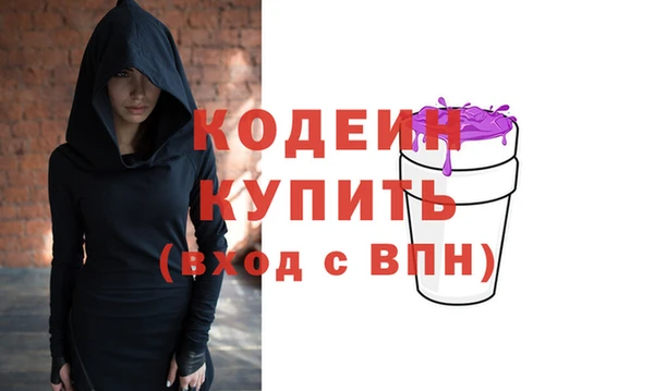 mix Инта