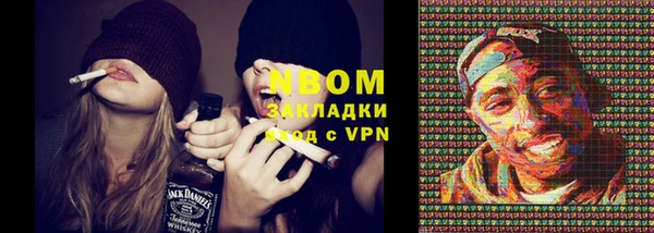mix Инта